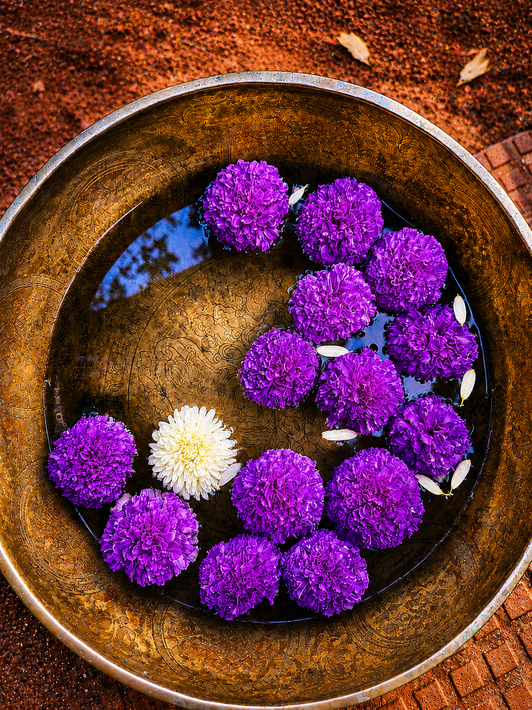 Blumenbowl – steht für besondere saisonale Workshops